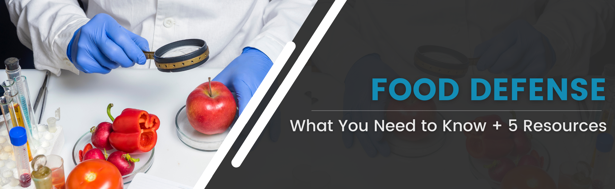 Food Defense What You Need to Know + 5 Resources